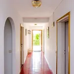 Bind - Comfort Double With Patio And Garden View R4 * Cavtat