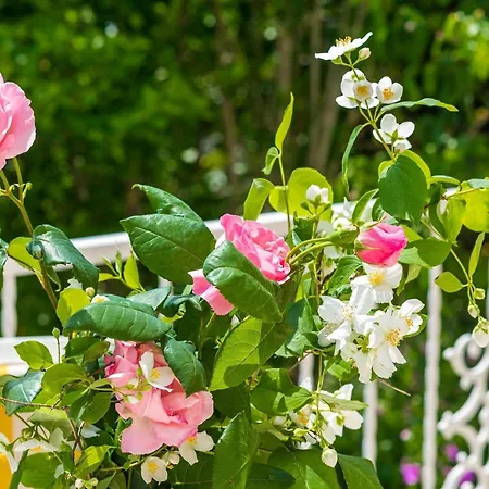 Bind - Comfort Double With Patio And Garden View R4 察夫塔特